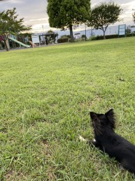 当店近くのステキな公園のご紹介♪